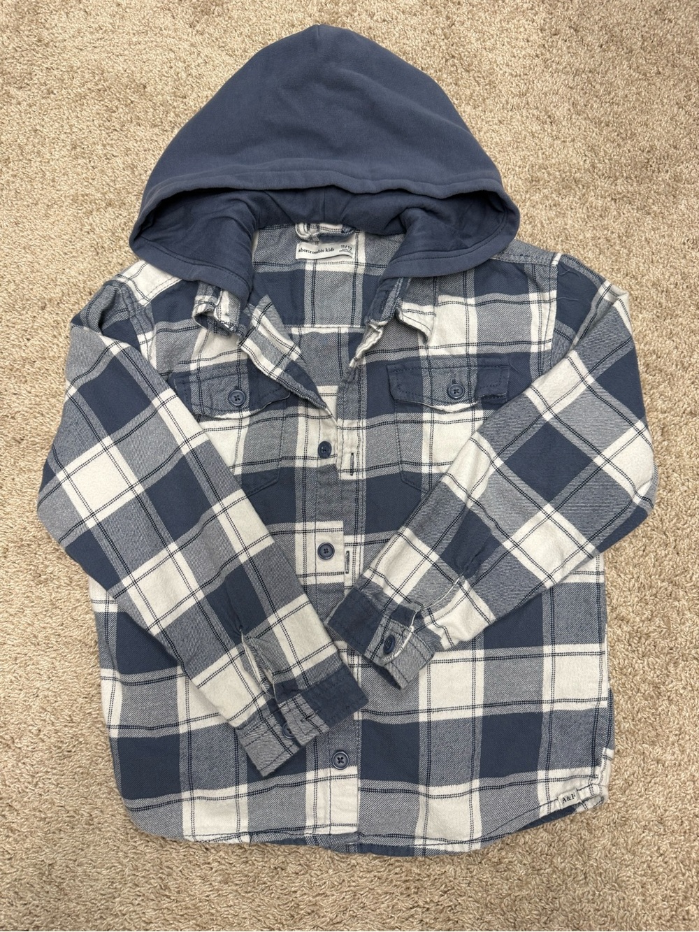 abercrombie kids Navy and White Plaid Hooded Button-Down